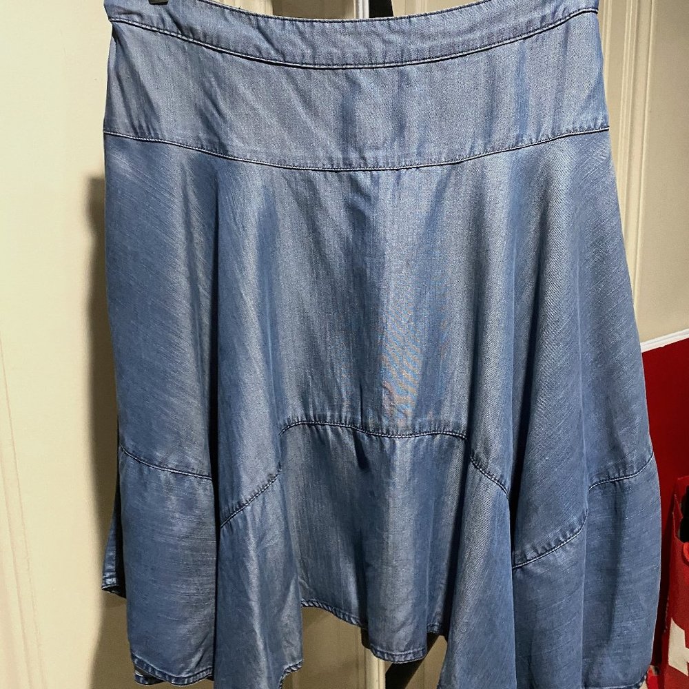 HD in Paris from Anthropology Chambray Skirt